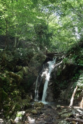 滋賀県・八つ淵の滝トレッキング⑬
