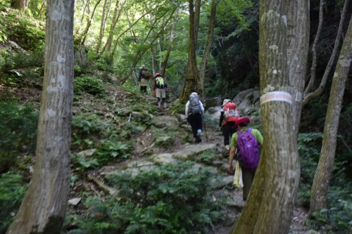 滋賀県・八つ淵の滝トレッキング㉑