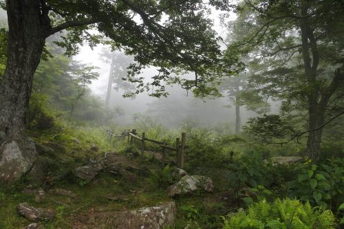 12-黄金山神社風水ツアー　霧がかかってきました